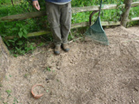 Stump removed